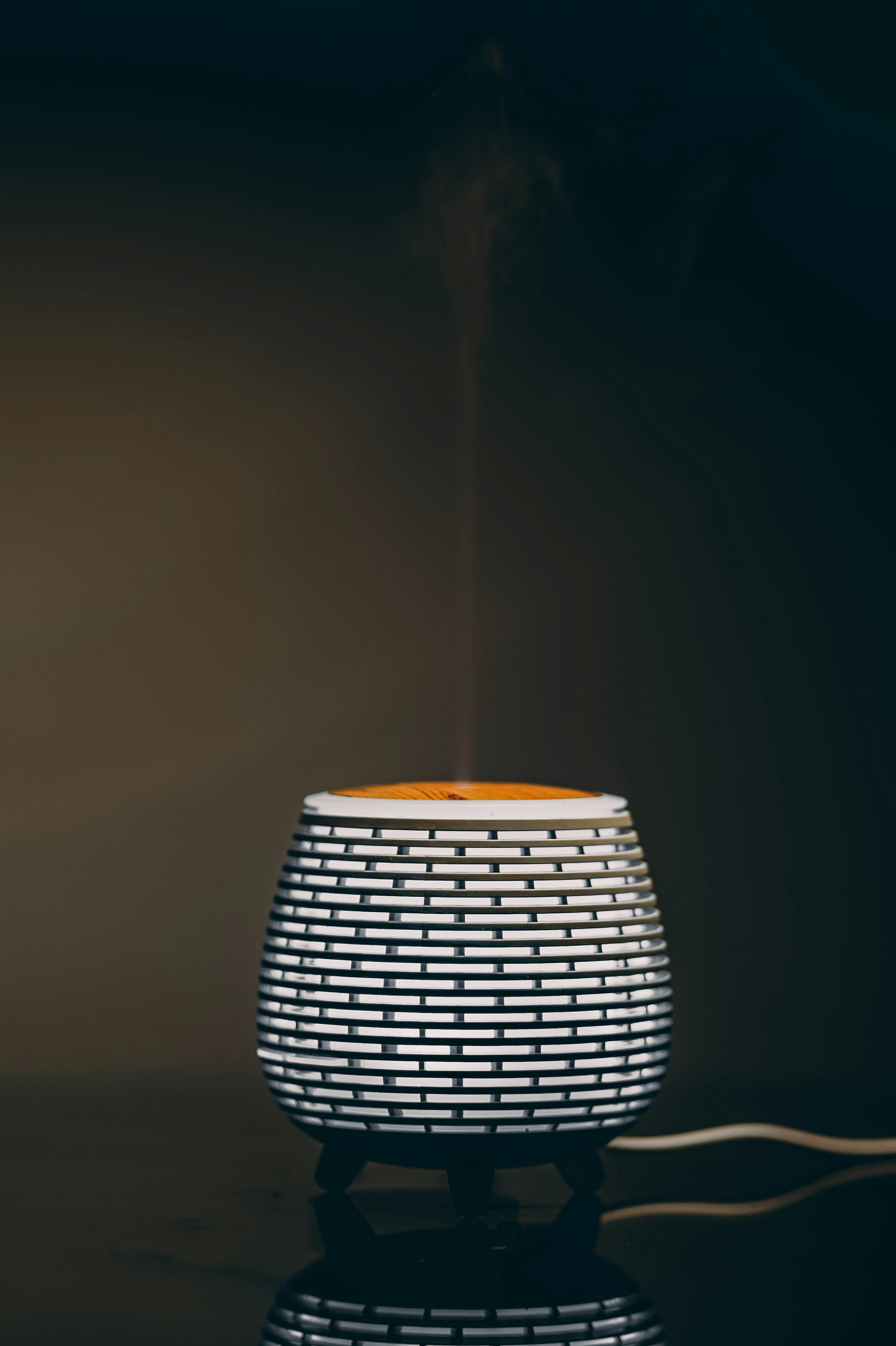 Warm & Cool Mist Humidifier